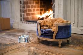 Now, we want to try to share this some galleries to give you smart ideas, may you agree these are amazing pictures. Lord Lou Reviews Facebook