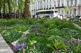 Order by 10pm weekdays, 9pm weekends for free next day flower delivery to buckingham. Buckingham Palace Diamond Garden Nigel Dunnett