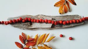 Das bedeutet aber noch lange nicht, dass die statement kette als accessoire lediglich für den sommer geeignet ist. Basteln Mit Vogelbeeren Herbstdeko Kranze Und Ketten Aus Eberesche Livelifegreen