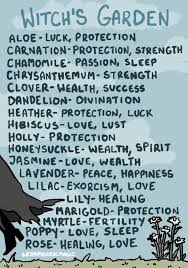 A Garden Variety Correspondence Chart Wicca Witch