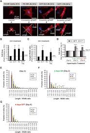 D'taja intergrated visio sdn bhd pelakon : Cardiotrophin 1 Stimulates Beneficial Myogenic And Vascular Remodeling Of The Heart Cell Research