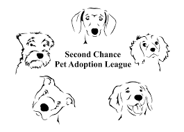 Great danes are not for everyone, rescue is not for everyone, and many people do not have the patience for. Pets For Adoption At Second Chance Pet Adoption League In Oak Ridge Nj Petfinder