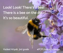 Maybe you would like to learn more about one of these? Pcpl Haiku Challenge Your Poems About Life In Quarantine Pima County Public Library