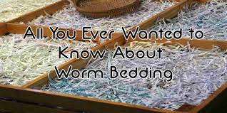 Check spelling or type a new query. All You Ever Wanted To Know About Worm Bedding