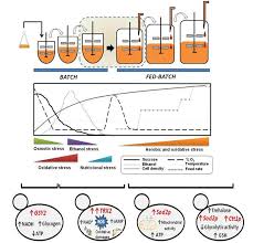 We did not find results for: Recent Advances In Yeast Biomass Production Intechopen