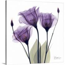 Maybe you would like to learn more about one of these? Purple Bathroom Pictures Wayfair