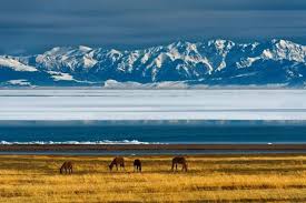 赛里木湖初雪都来了，你还不来吗？-腾讯新闻