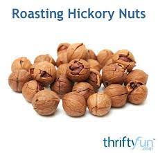Roasting Hickory Nuts Roasting Hickory Wild Edibles