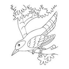 You could also print the image using the print. Top 10 Hummingbird Coloring Pages For Your Toddler Hummingbird Coloring Pages Coloring Pages Bird Coloring Pages