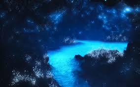 Best hd wallpapers of fantasy, desktop backgrounds for pc & mac, laptop, tablet, mobile phone. Free Download Fantasy Wallpapers Hd Beautiful Fantasy Wallpapers The 1600x1000 For Your Desktop Mobile Tablet Explore 48 Free Cave Wallpaper Man Cave Wallpaper For Walls Cave Desktop Wallpaper Caves Wallpaper Widescreen
