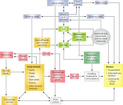 Origins And Evolution Of Antibiotic Resistance