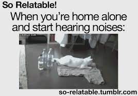 Found On So Relatable Tumblr Com Via Tumblr Laughing So Hard Funny Gif Just For Laughs