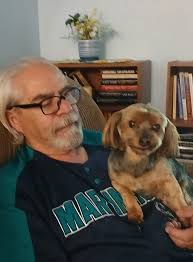 Yorkie haircuts and grooming in Texas