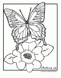 Coloring Pages Flowers And Butterflies Gif Butterfly Coloring Page Free Coloring Pages Flower Coloring Pages