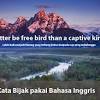 Kata bijak bahasa inggris tentang kehidupan ? Https Encrypted Tbn0 Gstatic Com Images Q Tbn And9gctp56o0pfjzqjd Cprcmpyesoaax2spn8lcywoyjqi Usqp Cau