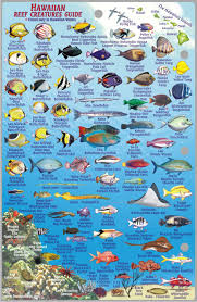 kauai fish card frankos fabulous maps of favorite places