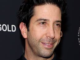 Friends star David Schwimmer lands new Channel 4 sitcom