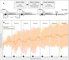 Another of the series of educational pictures' comedy shorts. Brain Sciences Free Full Text Effects Of Noise And Serial Position On Free Recall Of Spoken Words And Pupil Dilation During Encoding In Normal Hearing Adults