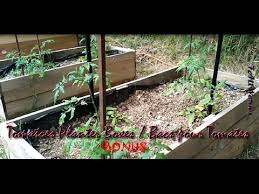 Our exclusive planters produce a large harvest and reduce watering chores. 41 How To Make Tomatoes Planter Boxes Comment Faire Des Bacs A Tomates Bonus Youtube