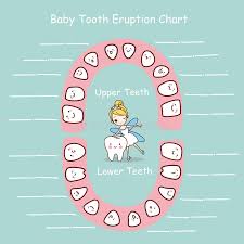 Tooth Fairy Chart Stock Illustrations 16 Tooth Fairy Chart