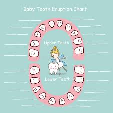 tooth fairy chart stock illustrations 16 tooth fairy chart