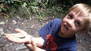 Jennifer Jackowski's Instagram, Twitter & Facebook