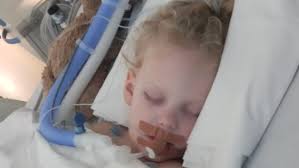 Fundraiser for Harry Denis by Lani Fordyce : Please help our Charlie Bear