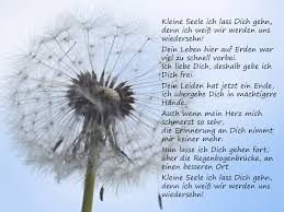 Kleine Seele Ich Lass Dich Gehn Trauergedichte Anubis Tierbestattung Gedichte Trauer Trauergedicht Trauer Zitate