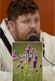 wildflowers #plantaprairie #prairie #culversroot