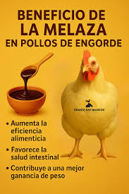Referencia