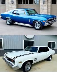 Image result for Autumn Gold 1962 Nova