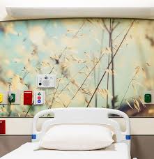 Wvu Medicine Berkeley Medical Center Healthcare Interior Design Wall Coverings Healthcare Marketing