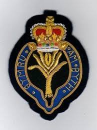 The Leek National Emblem Of Wales And The Welsh Badge Historical Symbols Welsh