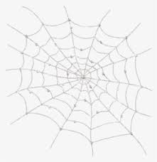 Spider Web Transparent Background Png Images Free Transparent Spider Web Transparent Background Download Kindpng Spider bite wolf spider false black widows spider web, spiders png. spider web transparent background png