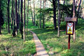 Wielkopolski park narodowy został utworzony w 1957 r., a jego granice objęły powierzchnię 9600 ha, z czego pod zarządem parku zostało ok. Park Narodowy Bory Tucholskie Najwazniejsze Atrakcje