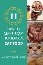 How To Make Raw Cat Food 11 Hacks To Make It Easy Raw Cat Food Recipes Homemade Raw Cat Food Homemade Cat Food