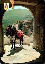 Castell De Gaudalest Alicante Espanian Donky Mountains Chrome Postcard WOB  UNP | eBay