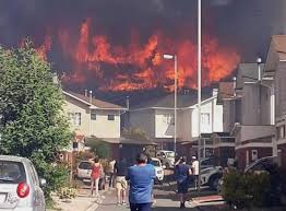 El cónsul pidió a los familiares en lima que. Video Valparaiso Incendio Forestal No Llego A Viviendas Y Comienza Fase De Control Diario El Observador