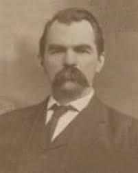 Martin Williams (politician)