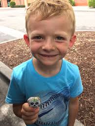 New snack found at Wawa in Ocala, FL