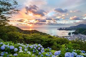 We did not find results for: 4568448 Sunset Blue Sea Bay Hills Cityscape Green Flowers Clouds Hydrangea Purple Orange Blue Flowers Nature Japan Summer Landscape Trees Ports Wallpaper Mocah Hd Wallpapers