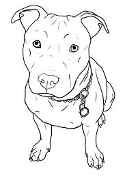 Black And White Pitbull Tattoos Just Add My Lobo S Features The Black And White This Tattoo Would Look Like Him Hund Malen Tiere Malen Hund Zeichnen