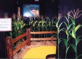 They strangely resemble corn stalks (to me), but there is no fruit on it, and the leaves are a bit narrower. Love The Corn Field We Could Make Corn Stalks From Butcher Paper Easily Wizard Of Oz Decor Wizard Of Oz Musical Wizard Of Oz Play