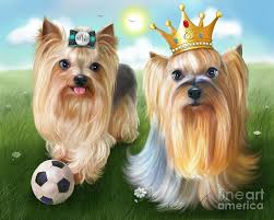 The Queen And The Player By Catia Lee Yorkie Cute Animal Illustration Cute Art