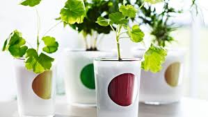 Ikea Us Furniture And Home Furnishings Self Watering Plants Ikea Self Watering