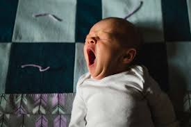 Image result for Yawning