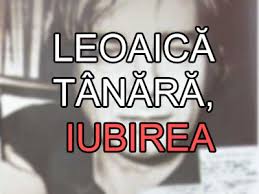 Nascut la 31 martie 1933 la ploiesti ; Leoaica Tanara Iubirea De Nichita StÄnescu Comentariu