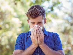 Why Is Hayfever So Bad This Year The 2021 Pollen Rise Explained The Independent
