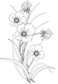 Flowers 3 Png By Roula33 Flower Line Drawings Flower Drawing Transparent Flowers