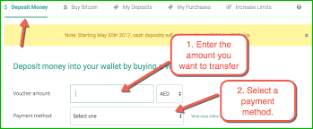 Neither the company nor the author is responsible, directly or indirectly, for any damage or loss caused or alleged to be. How To Buy Bitcoin In Uae And Dubai